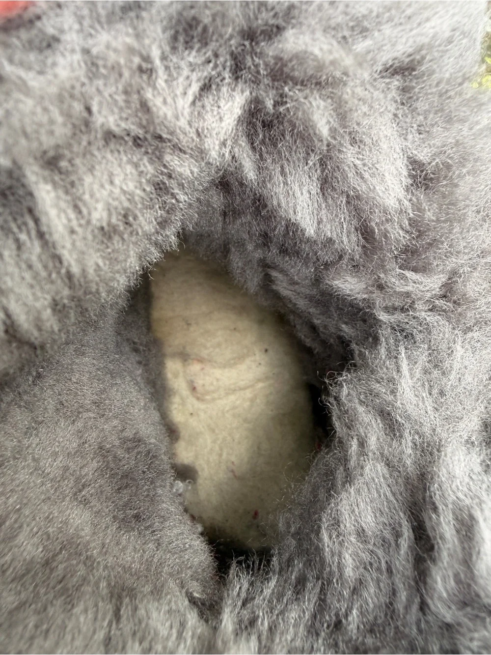 UGG Tall Button-Accent Suede Boots - Gray